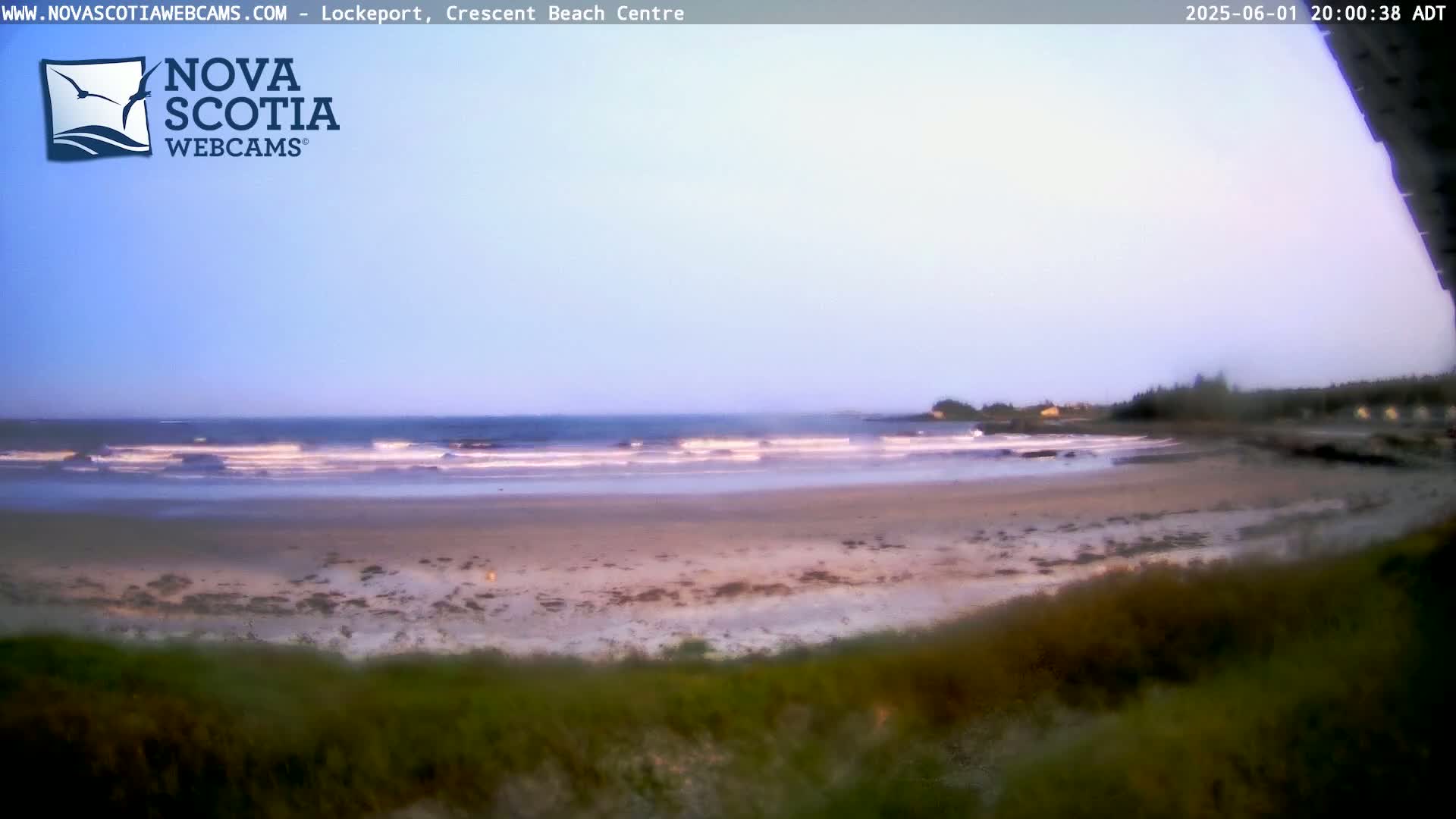 A sandy beach with gentle waves under a twilight sky is viewed from behind vegetation.