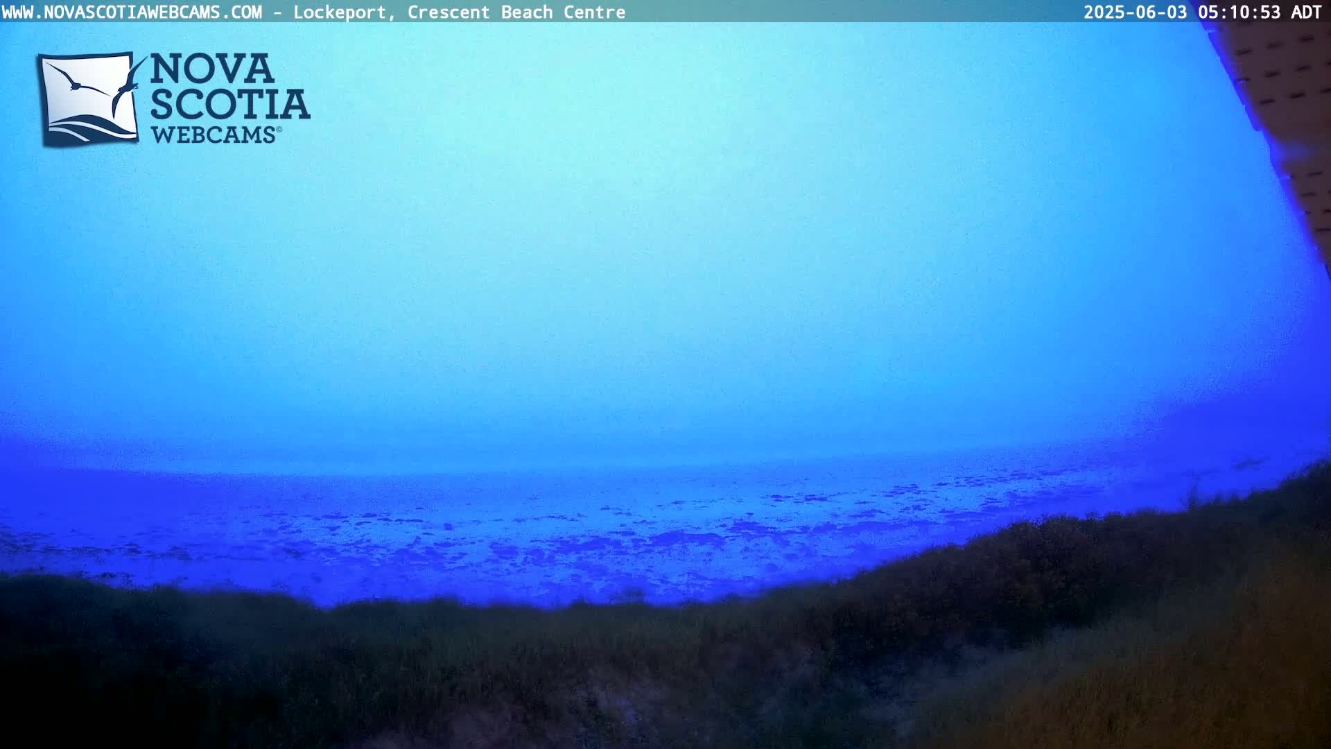 A hazy, blue-tinted ocean stretches to a pale blue sky, viewed from behind a low line of dark vegetation.