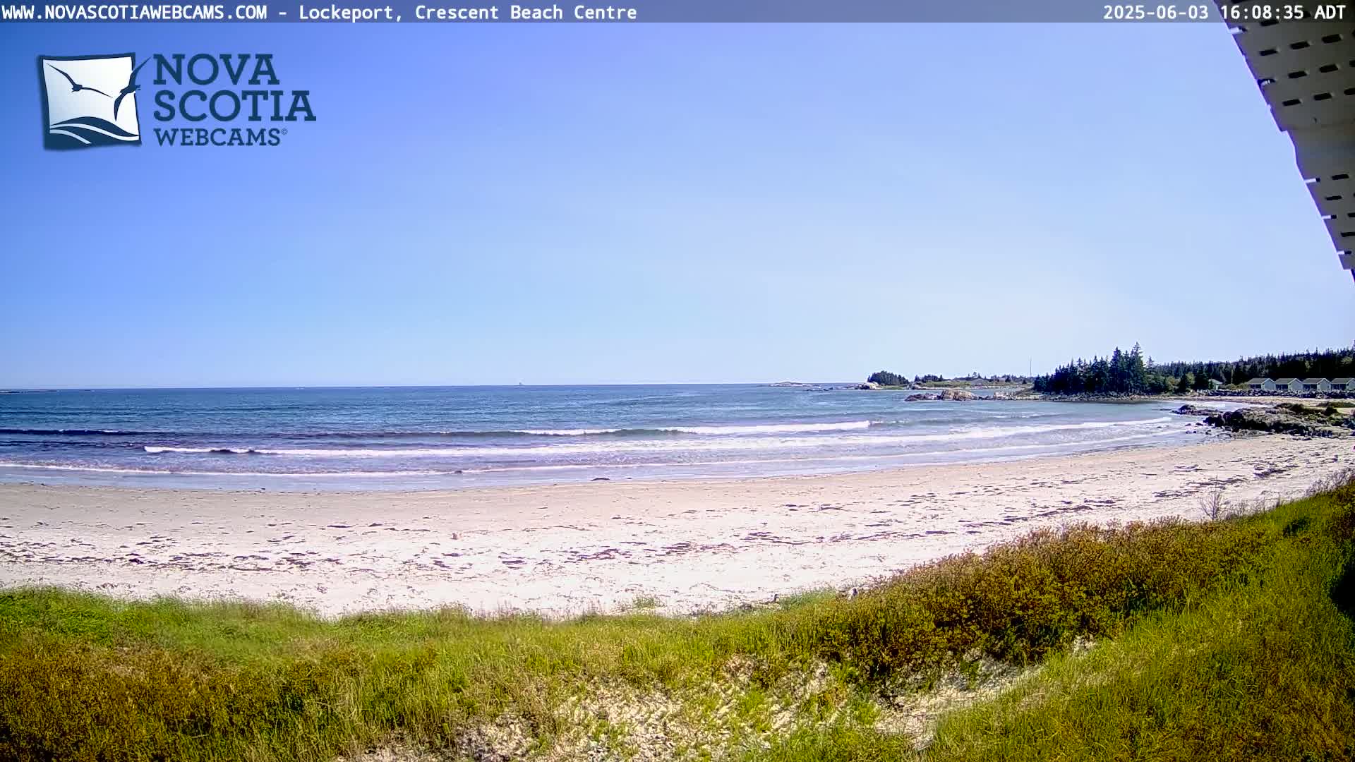 A sandy beach with gentle waves under a clear blue sky is viewed from behind grassy dunes.