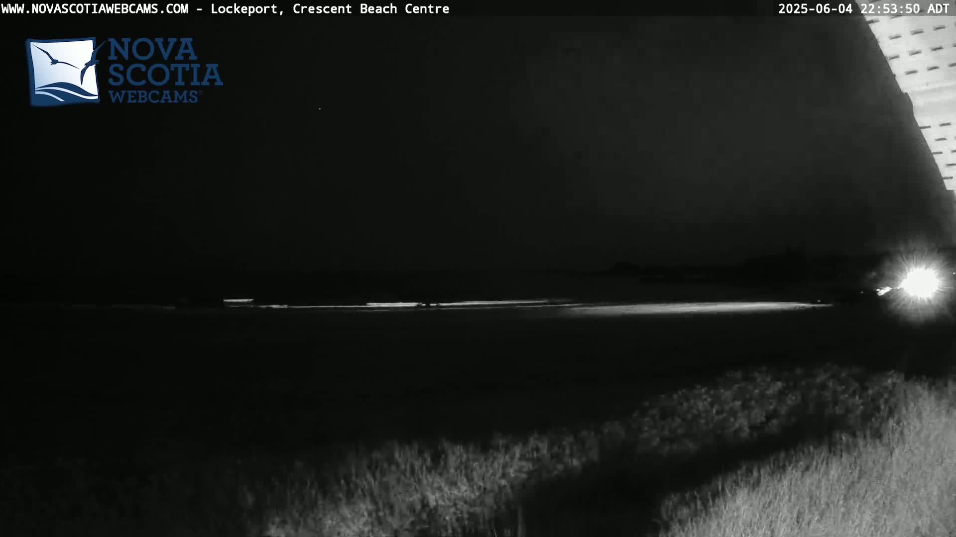 A nighttime, low-light view of a dark beach with a bright horizontal line near the water's edge.