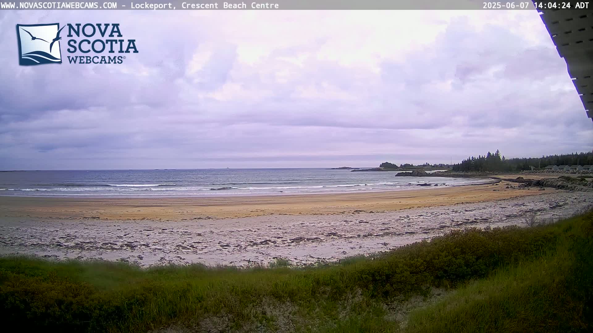 A sandy beach with small waves under a cloudy sky stretches to a calm ocean with a treeline in the distance.