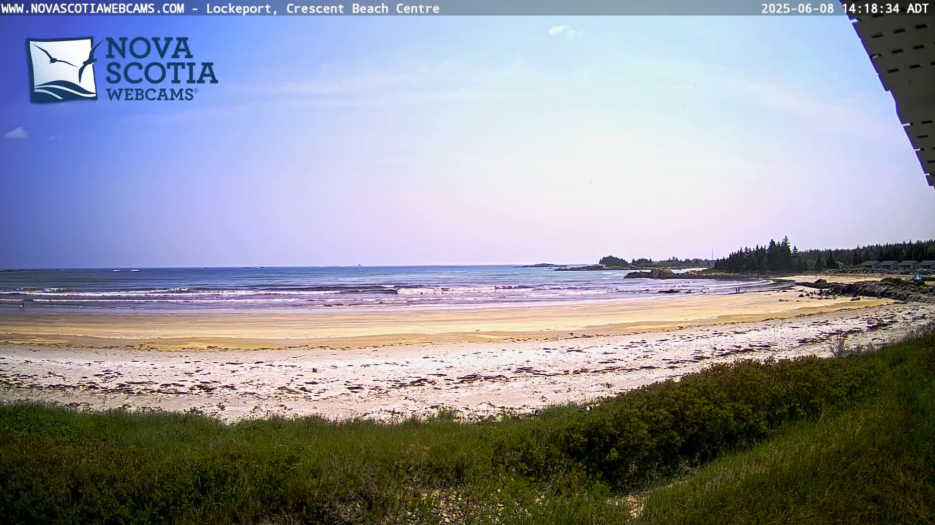 A sandy beach with gentle waves stretches out to a calm ocean under a mostly clear sky, viewed from behind vegetation.
