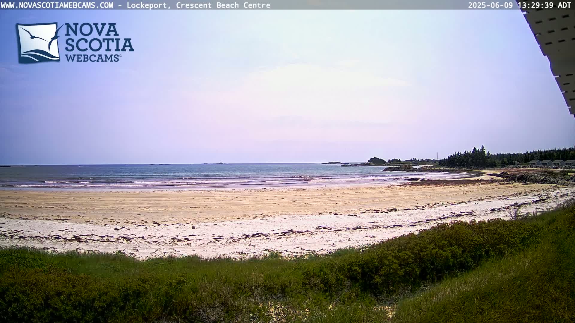 A sandy beach with gentle waves stretches to a calm ocean under a mostly clear sky, with low-lying vegetation in the foreground.