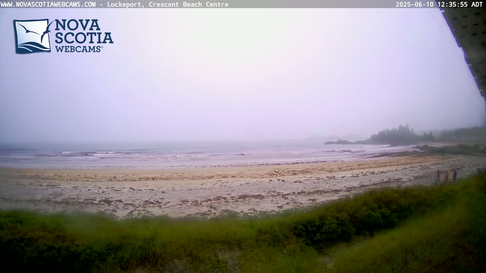 A foggy beach scene shows a sandy shore with small waves gently lapping the sand, a few distant trees, and some people visible in the distance.