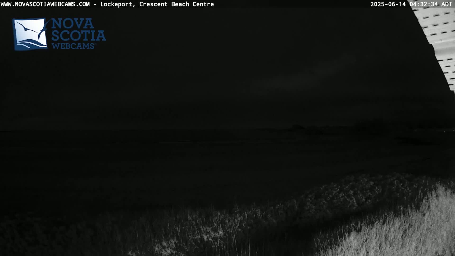 A nighttime, dark view of vegetation in the foreground and a dark body of water in the background under a mostly clear sky.