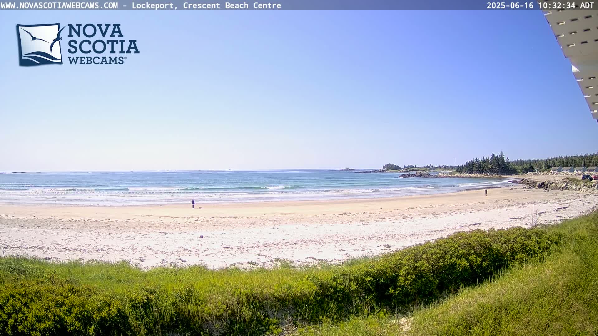 A sandy beach with small waves under a clear blue sky is viewed from behind a grassy dune; a person and dog walk along the shore in the distance.