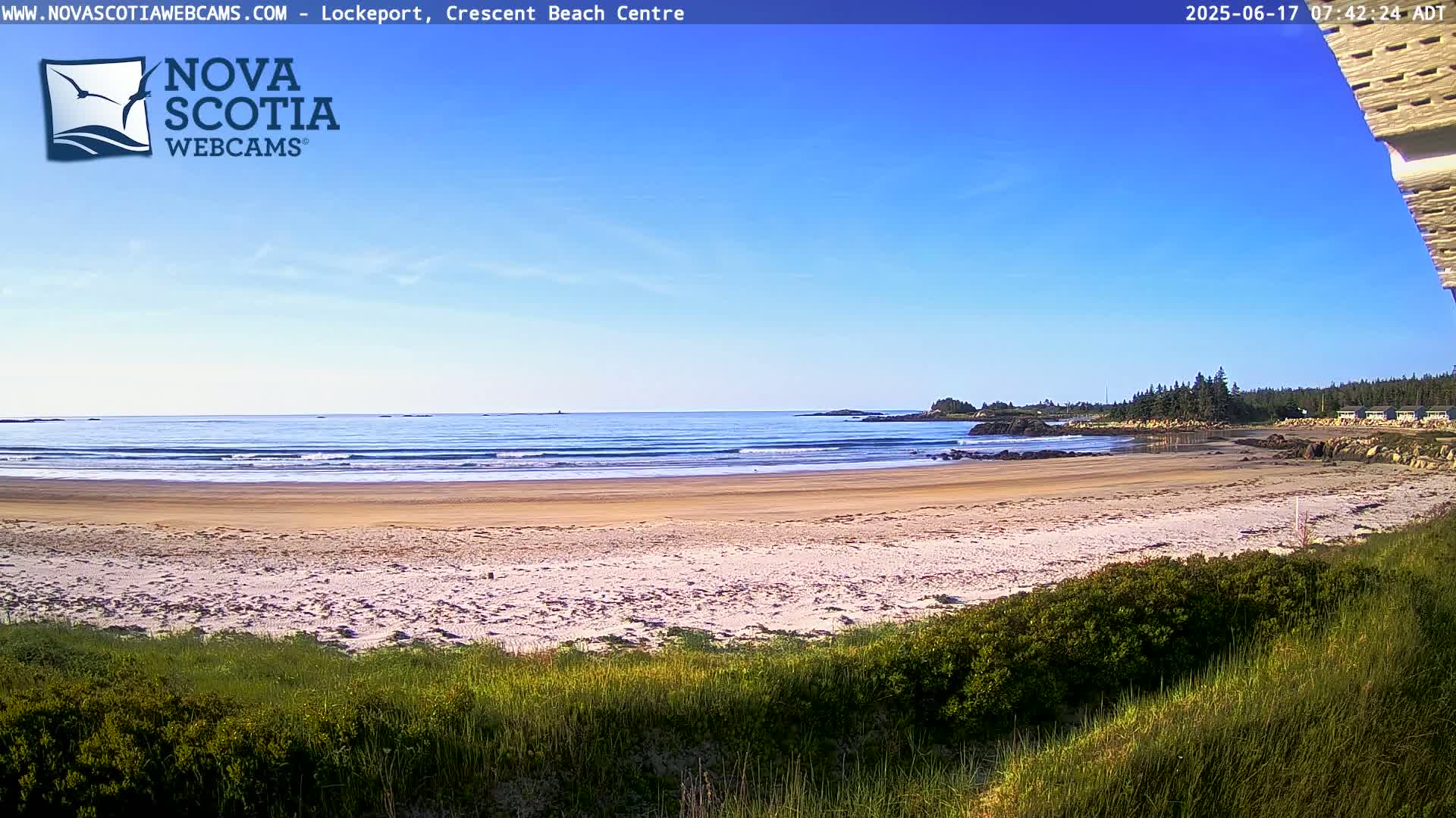 A sandy beach with small waves under a clear blue sky is viewed from behind vegetation.