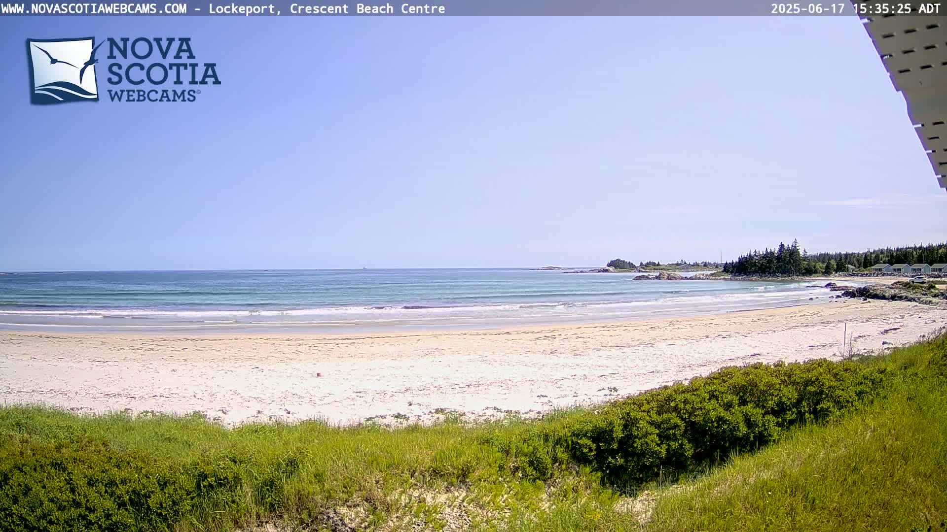 A sandy beach with small waves and a calm ocean under a clear blue sky is seen from behind a line of low-lying vegetation.