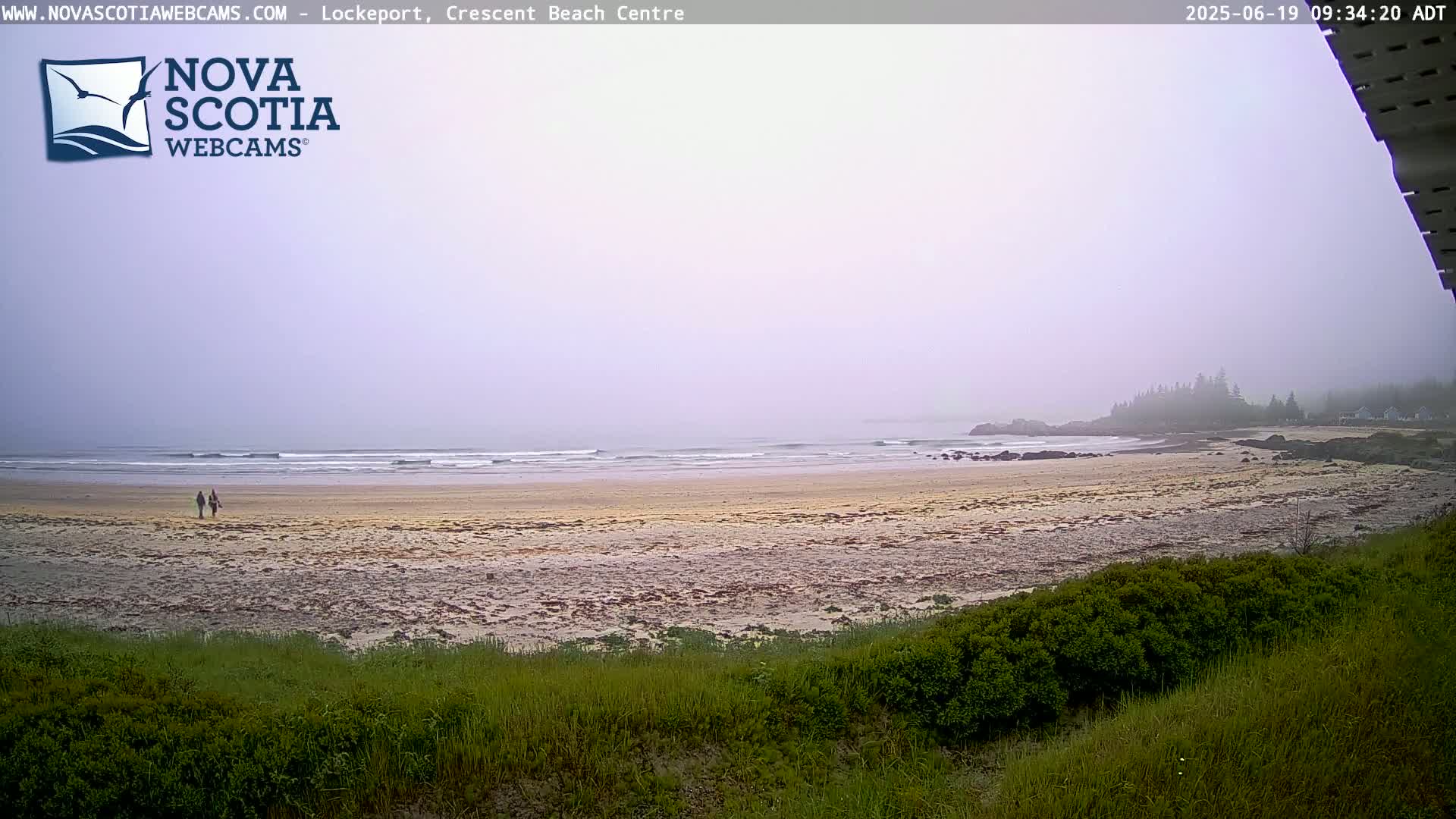 A foggy beach scene shows two people walking on a sandy shore near the ocean, with vegetation in the foreground.
