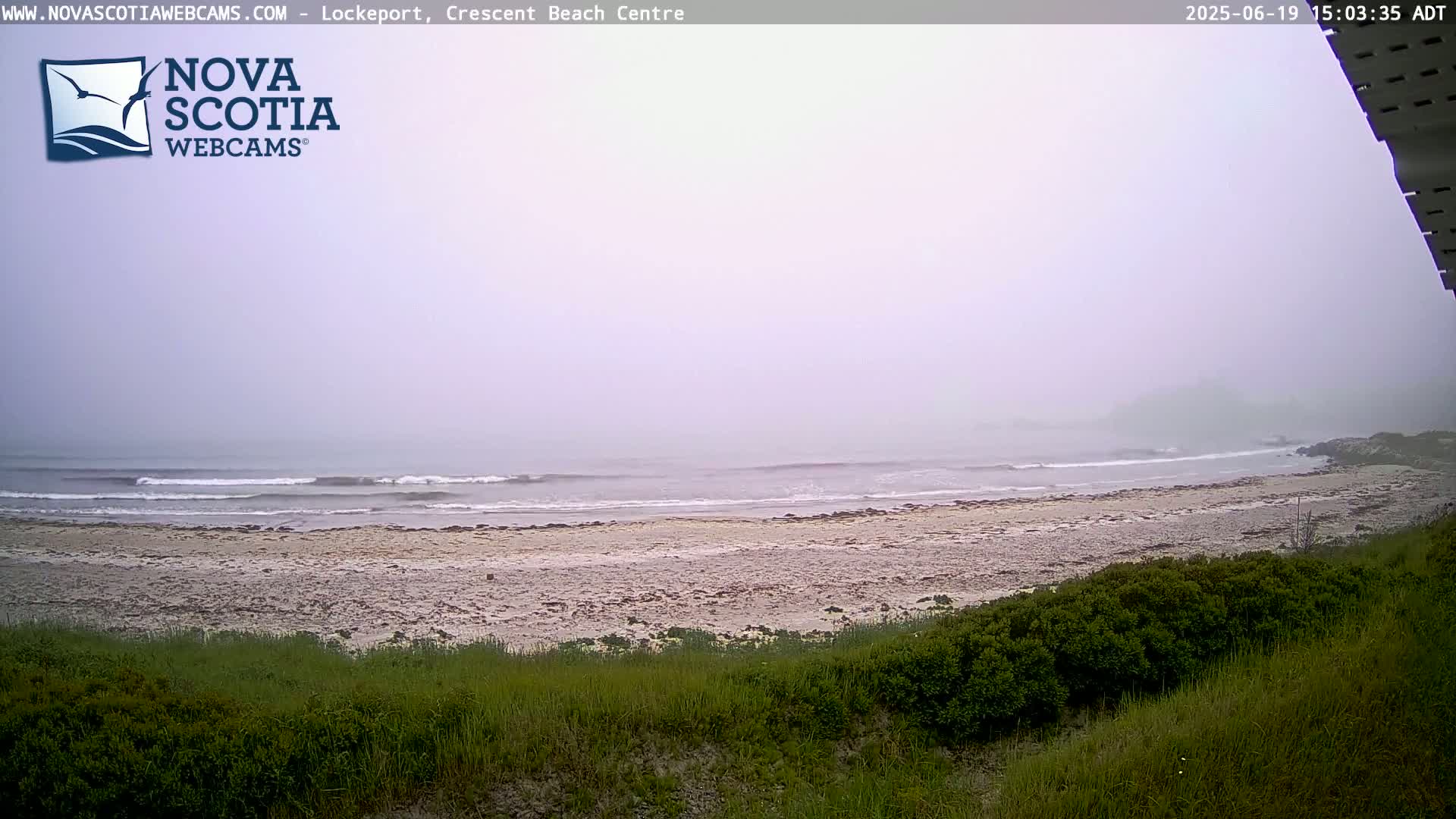 A foggy, overcast day reveals a sandy beach with gentle waves lapping the shore, viewed from a grassy dune.