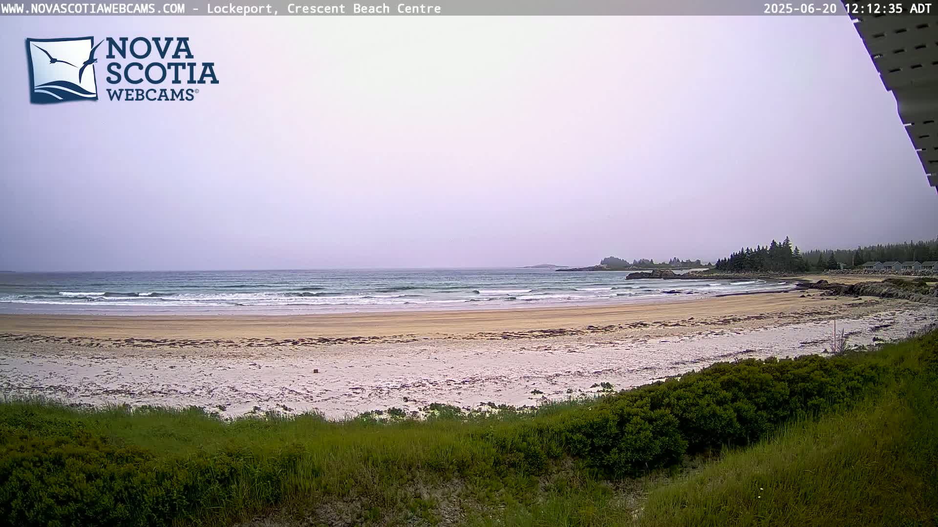 A sandy beach with small waves under an overcast sky is seen from behind a line of low-lying vegetation.