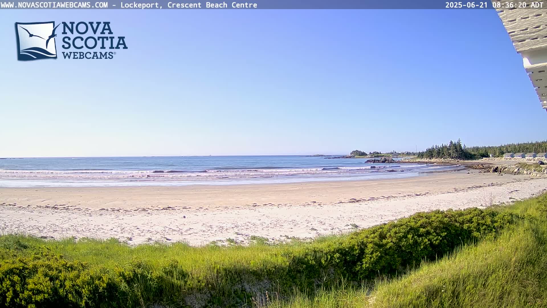 A sandy beach with gentle waves under a clear blue sky is viewed from behind a line of green vegetation.