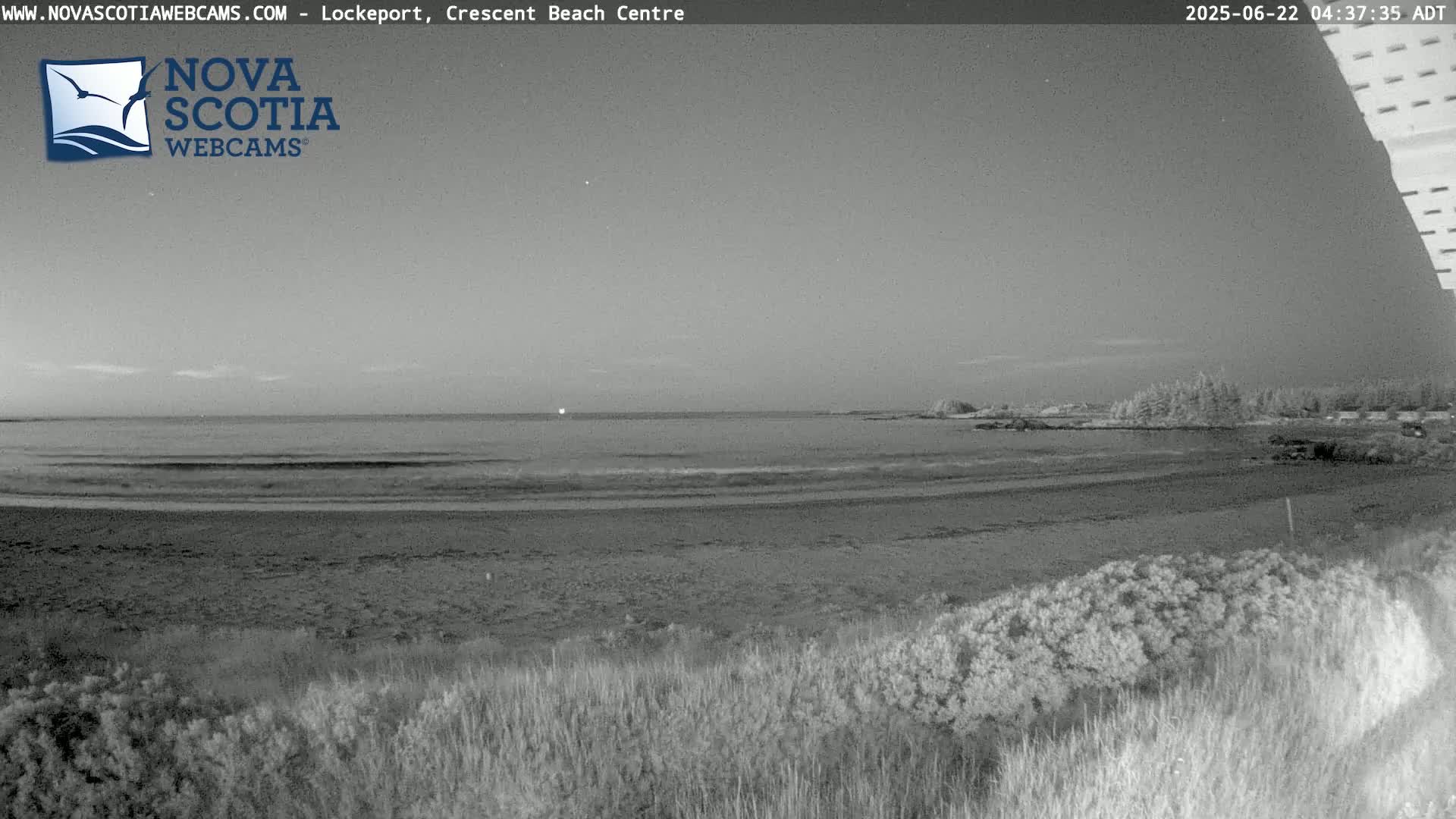 A grayscale image shows a dark beach with calm ocean waves under a twilight sky.
