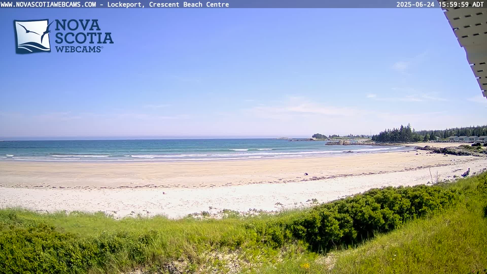 A sandy beach with gentle waves stretches out to a calm ocean under a clear blue sky, viewed from behind a line of green vegetation.