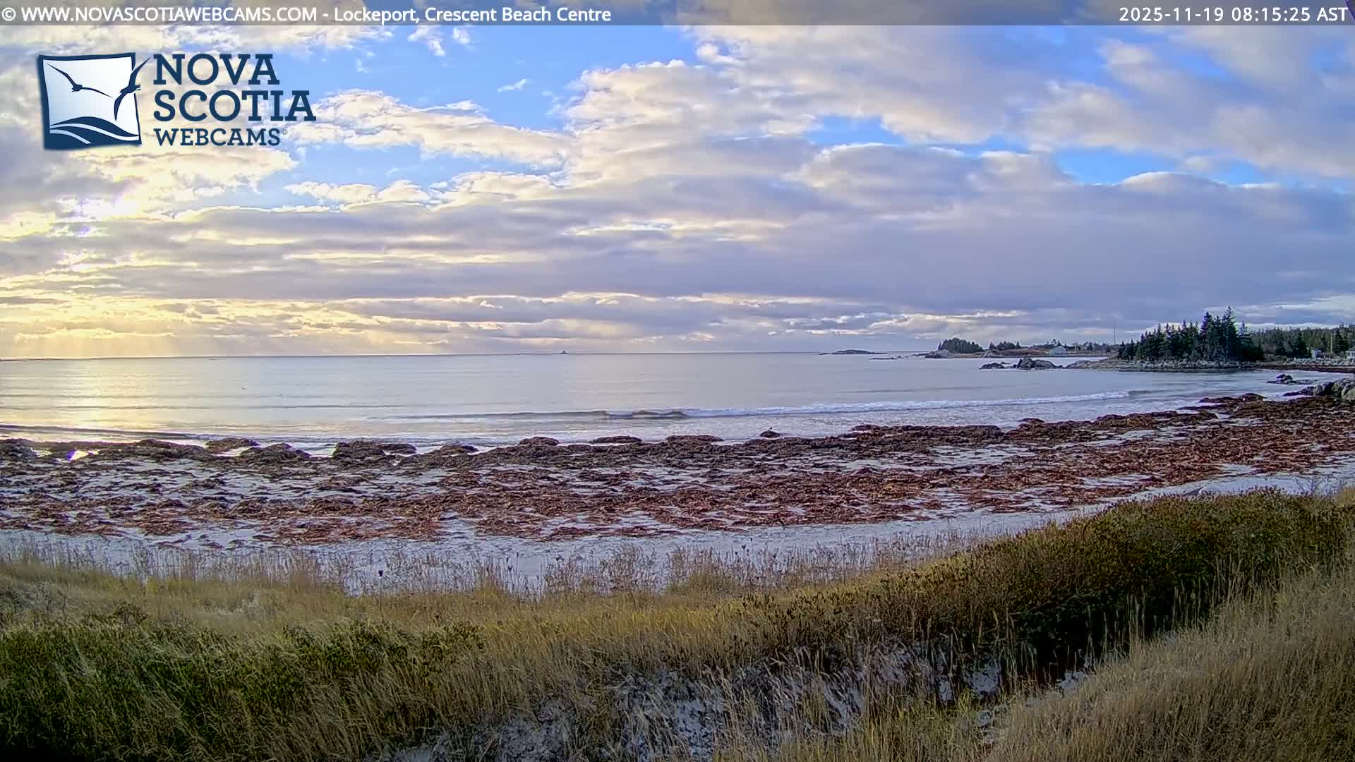 A nighttime view of a calm body of water from a grassy hilltop under a dark, clear sky.
