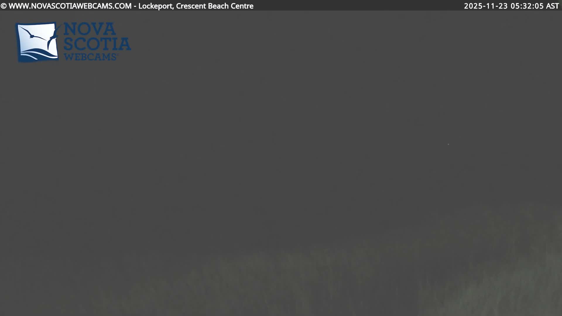 The image shows an extremely dark, featureless outdoor scene at night.