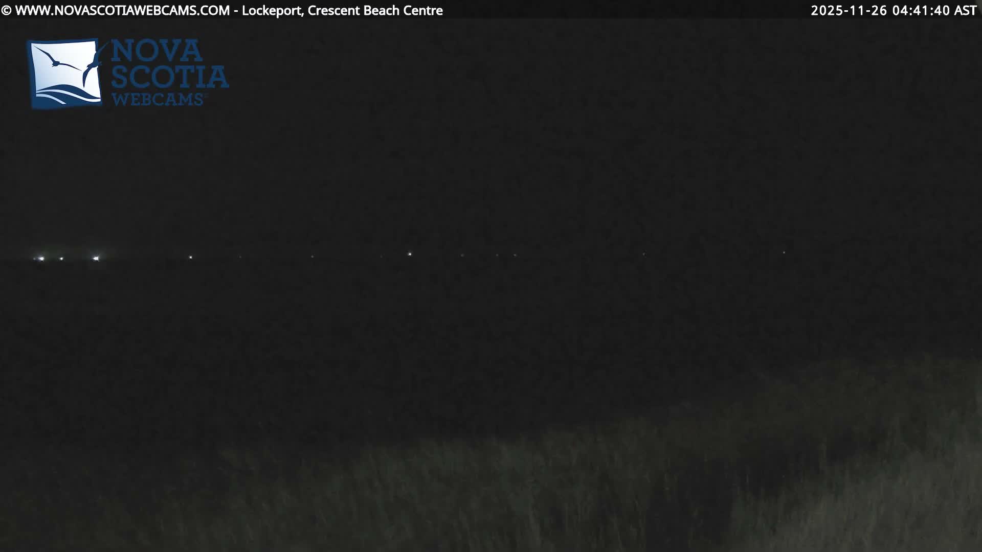A very dark nighttime image of an outdoor scene shows a faint horizontal line of distant lights above a barely discernible dark foreground, under clear skies.
