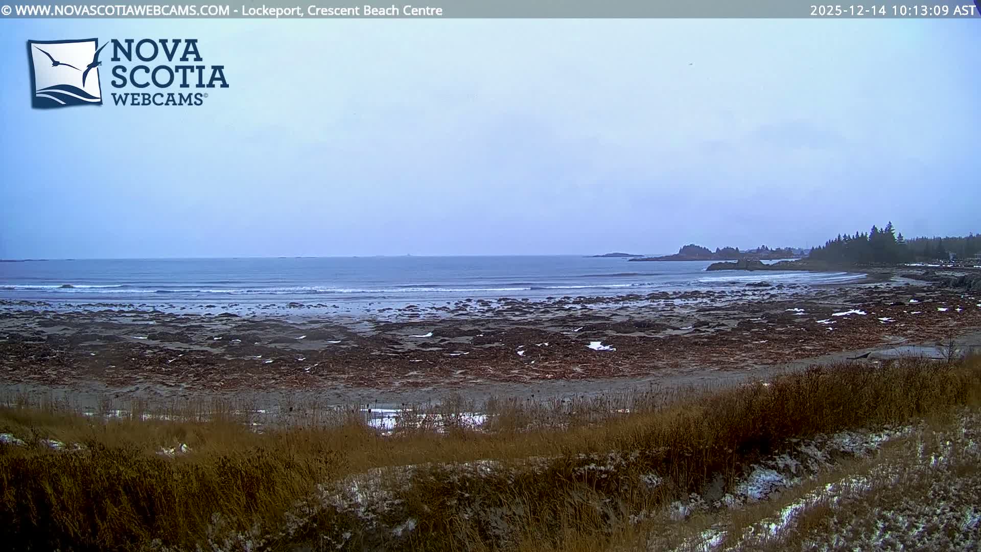 The image displays a very dark, pre-dawn or nighttime outdoor scene, with only a subtle lighter band visible across the bottom and a tiny white speck in the upper center, indicating clear weather.