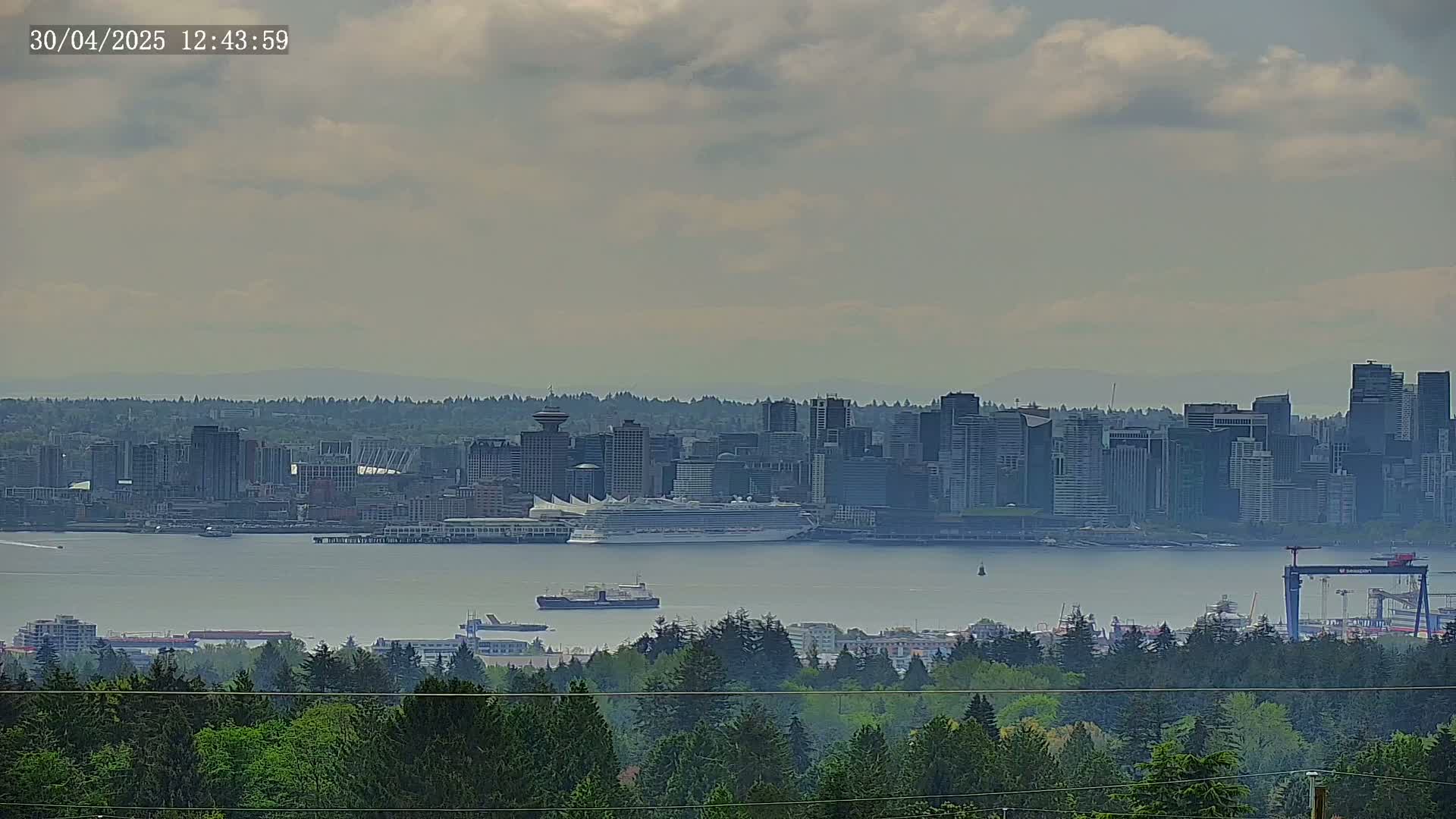 A hazy cityscape with a large cruise ship in the harbor is viewed from a distance across a body of water and a line of trees.