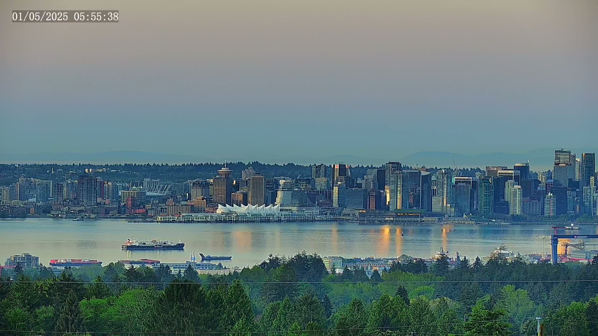 A city skyline with numerous skyscrapers and a large convention center is visible across a calm body of water under a pale, dusky sky from a vantage point overlooking a lush forest.