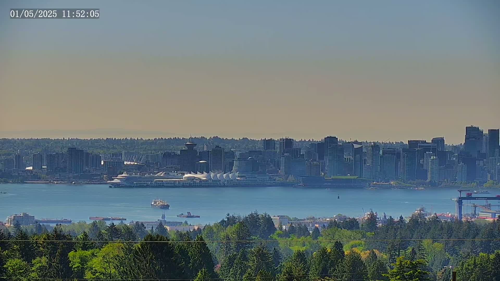 A hazy, sunny day reveals a distant cityscape across a body of water, viewed from a vantage point overlooking a forest of evergreen trees.