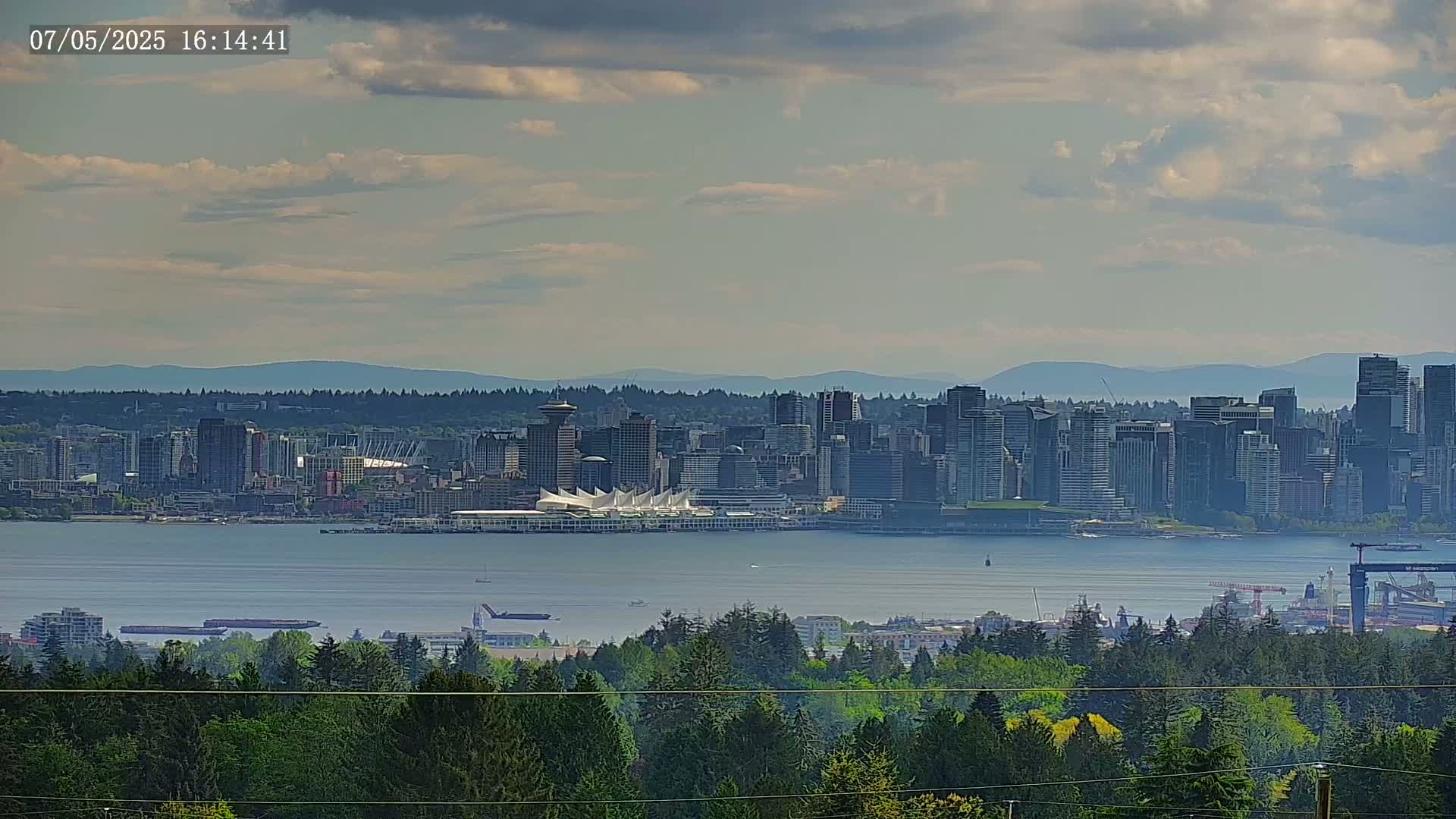 A distant cityscape with a large white-tented structure on the waterfront is visible across a body of water, under a partly cloudy sky, from behind a line of evergreen trees.