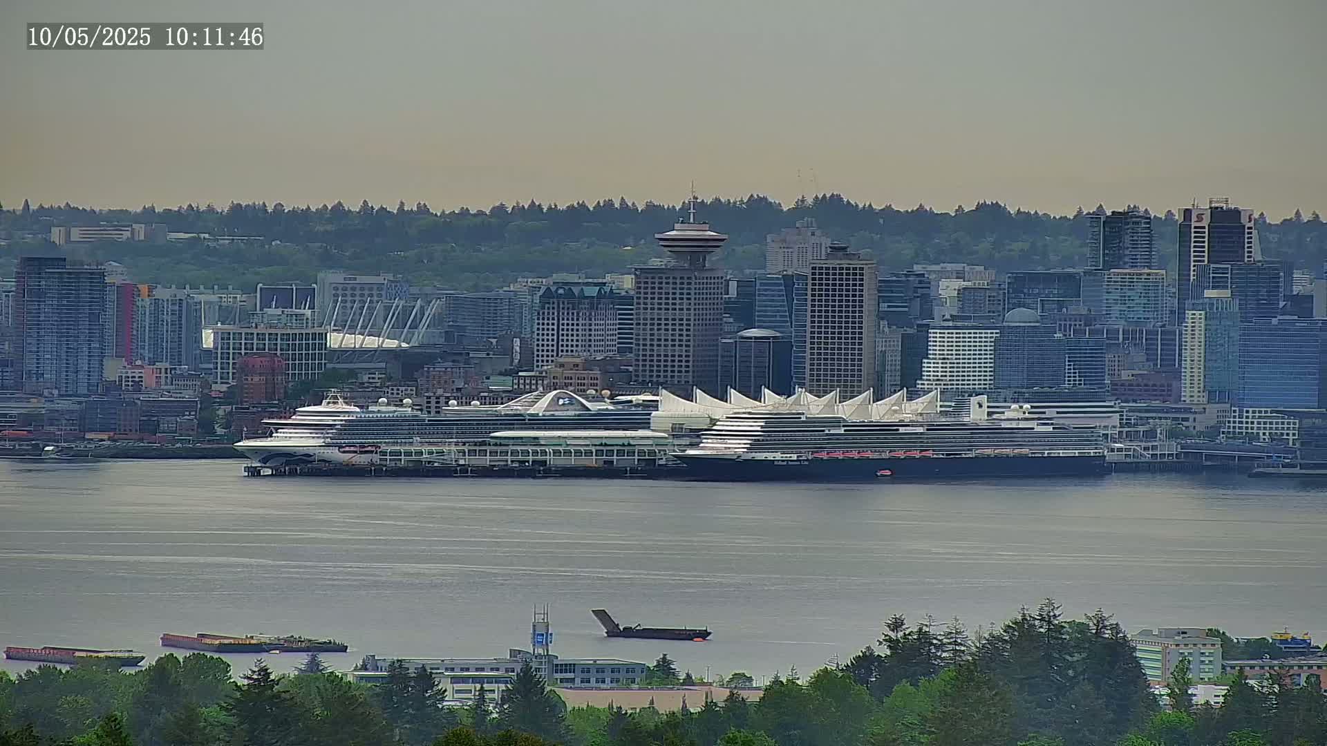 Two large cruise ships are docked in a city harbor on an overcast day, with a cityscape and evergreen trees visible in the foreground and background.