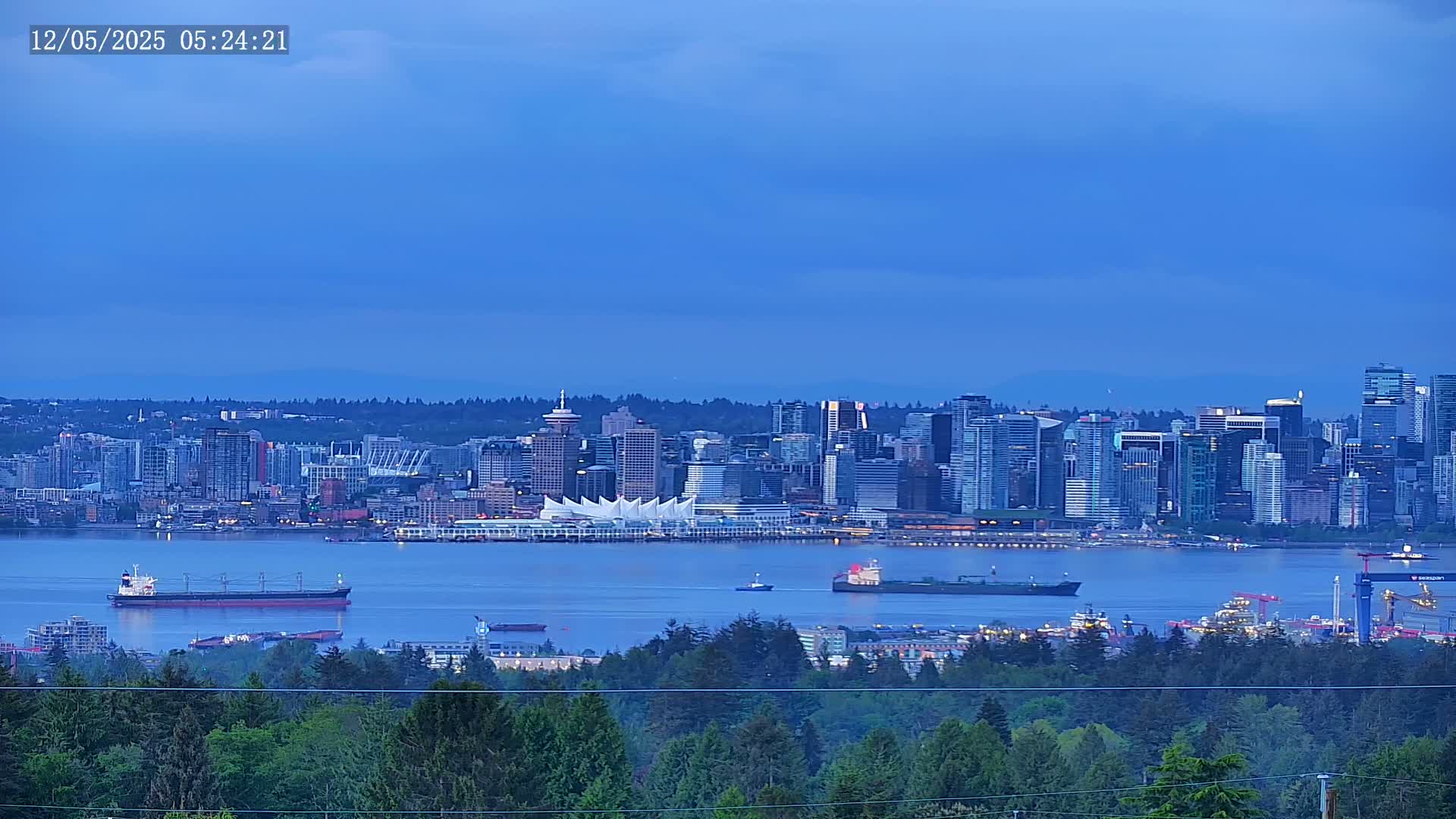 A city skyline with many skyscrapers and a large waterfront is visible across a body of water from a tree-covered hill under a twilight sky.