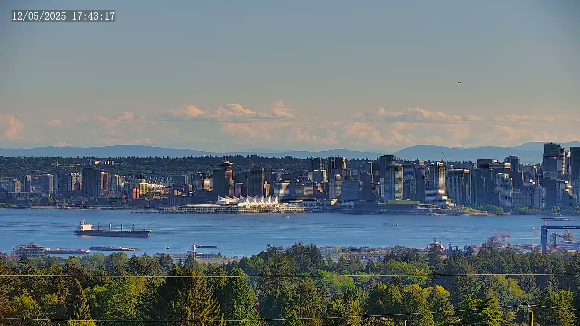 A distant cityscape with many skyscrapers sits across a body of water, under a partly cloudy sky, viewed from a forested hill.