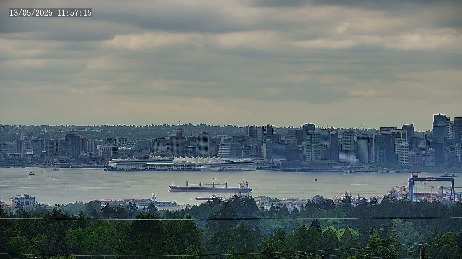 A distant cityscape sits on the shore of a calm body of water, where a large cargo ship and cruise ship are visible under an overcast sky.