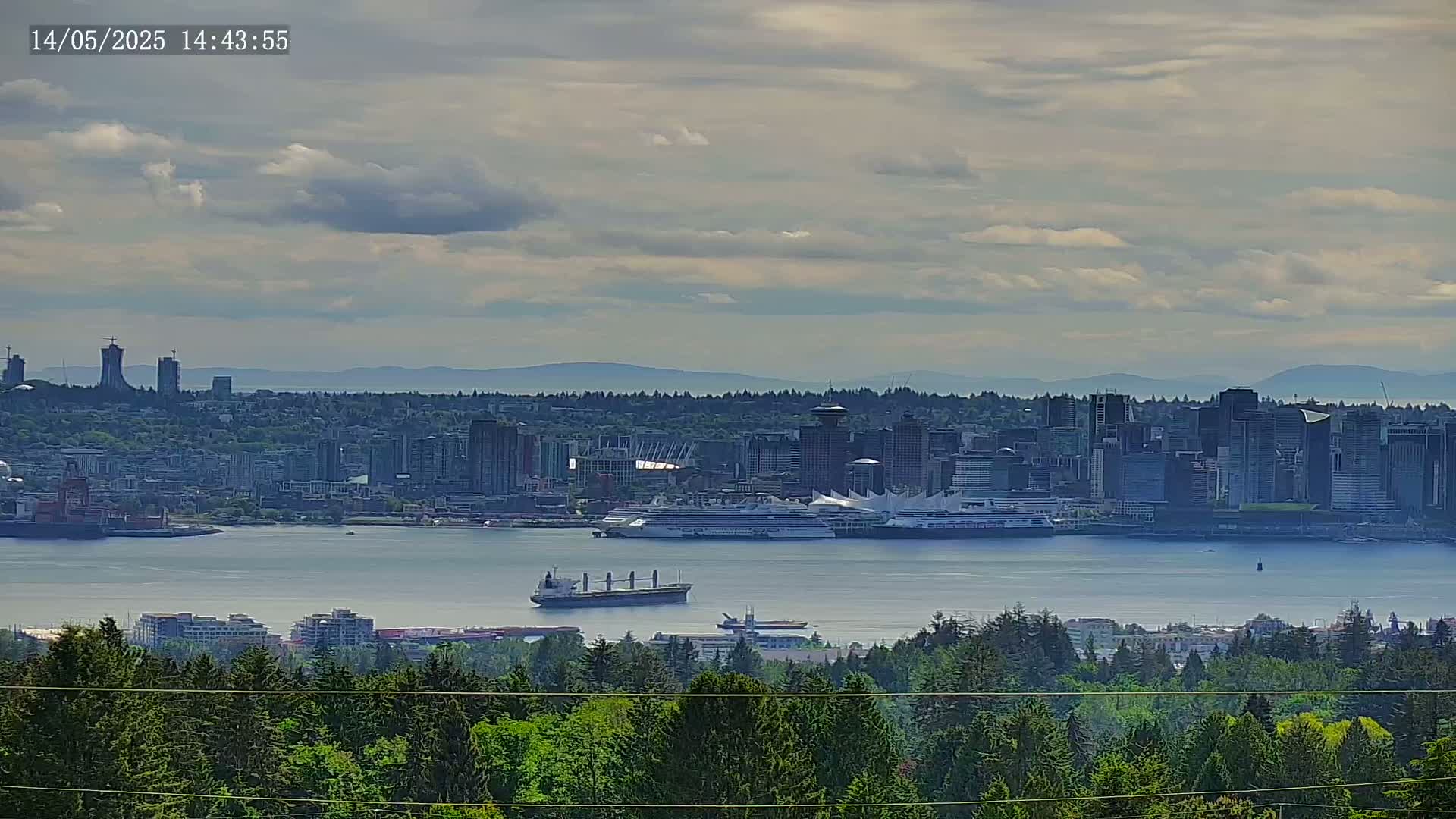 A distant cityscape with several large ships in the harbor is viewed from a forested hillside under a partly cloudy sky.