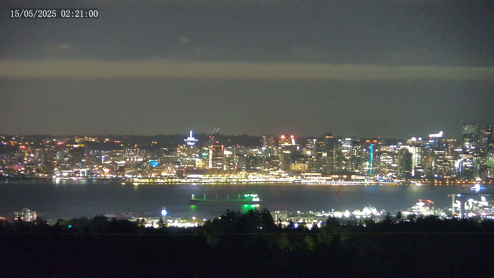A brightly lit city skyline across a dark body of water is visible from a wooded hilltop under a mostly cloudy night sky.