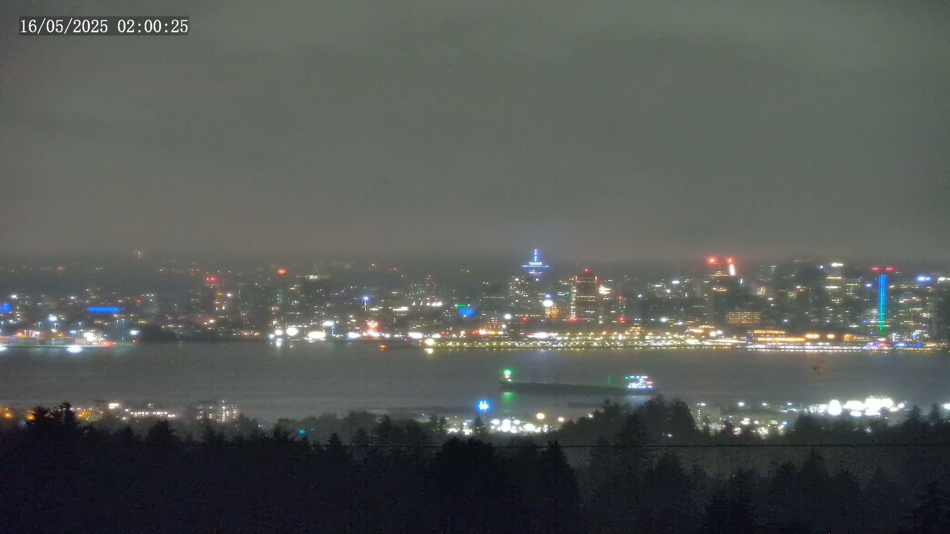 A hazy night view shows a city skyline illuminated by lights across a body of water, seen from a distance beyond a line of trees.