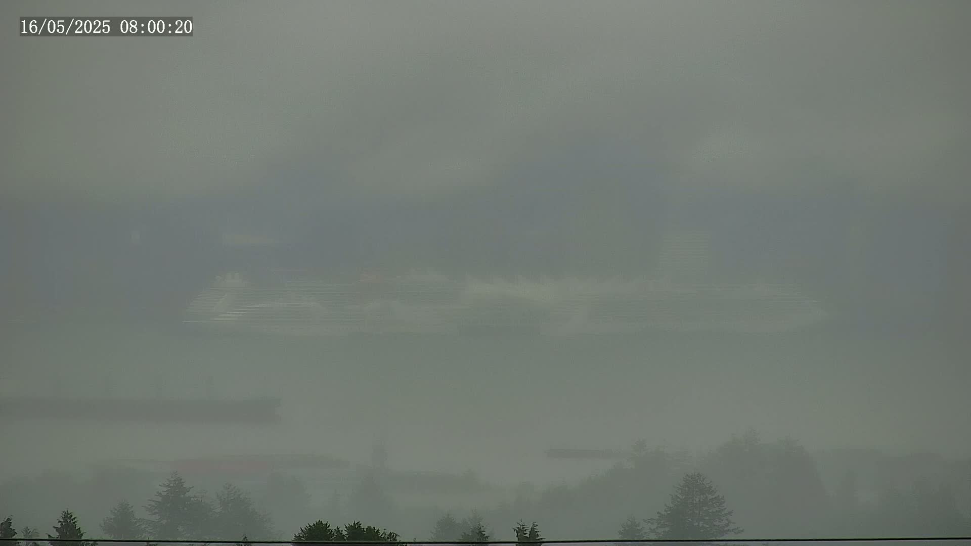 A body of water is barely visible through a thick fog, with dark green trees and foliage in the foreground.