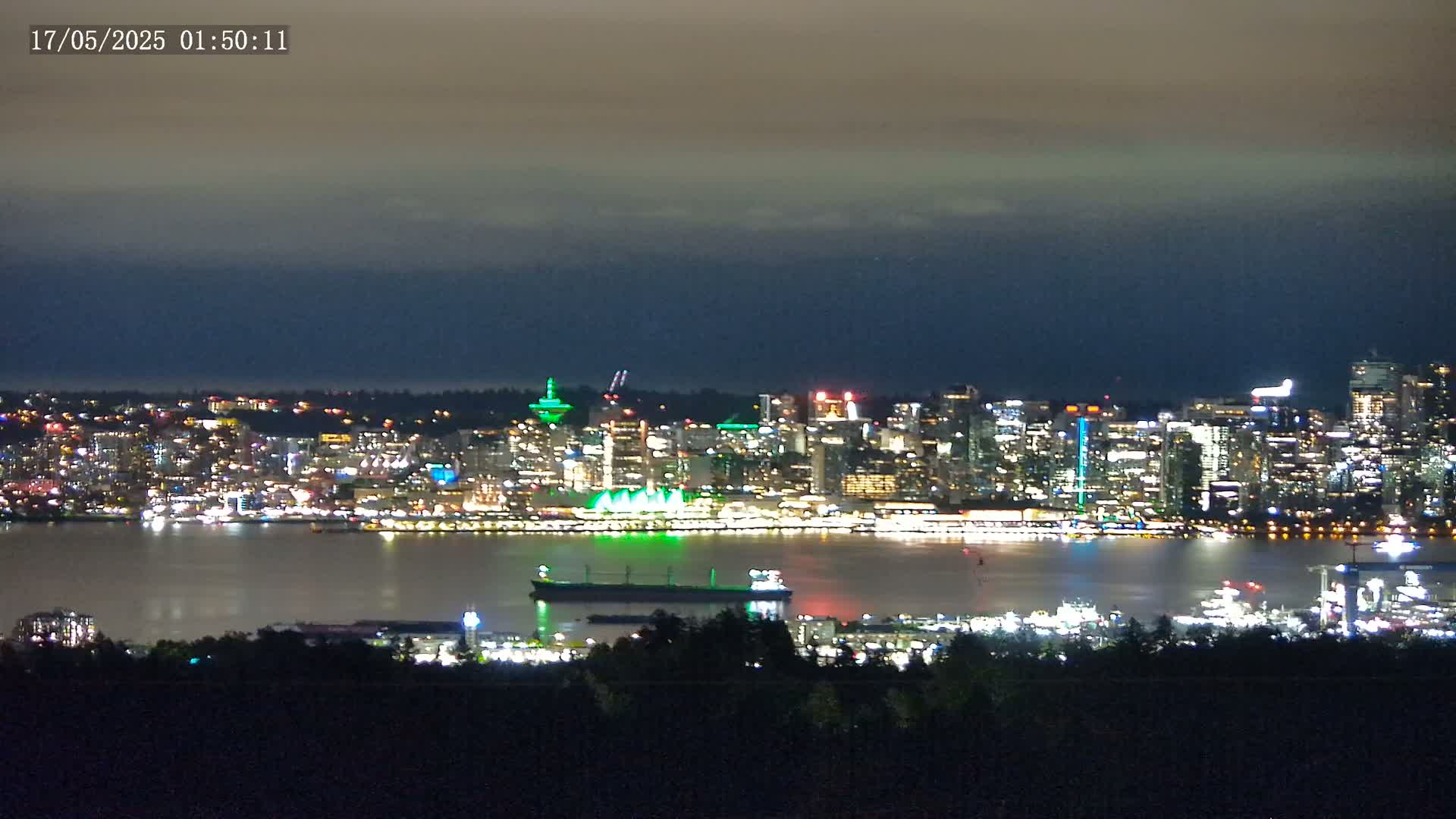 A brightly lit city skyline at night is seen across a calm body of water from a hilltop vantage point under a dark, cloudy sky.
