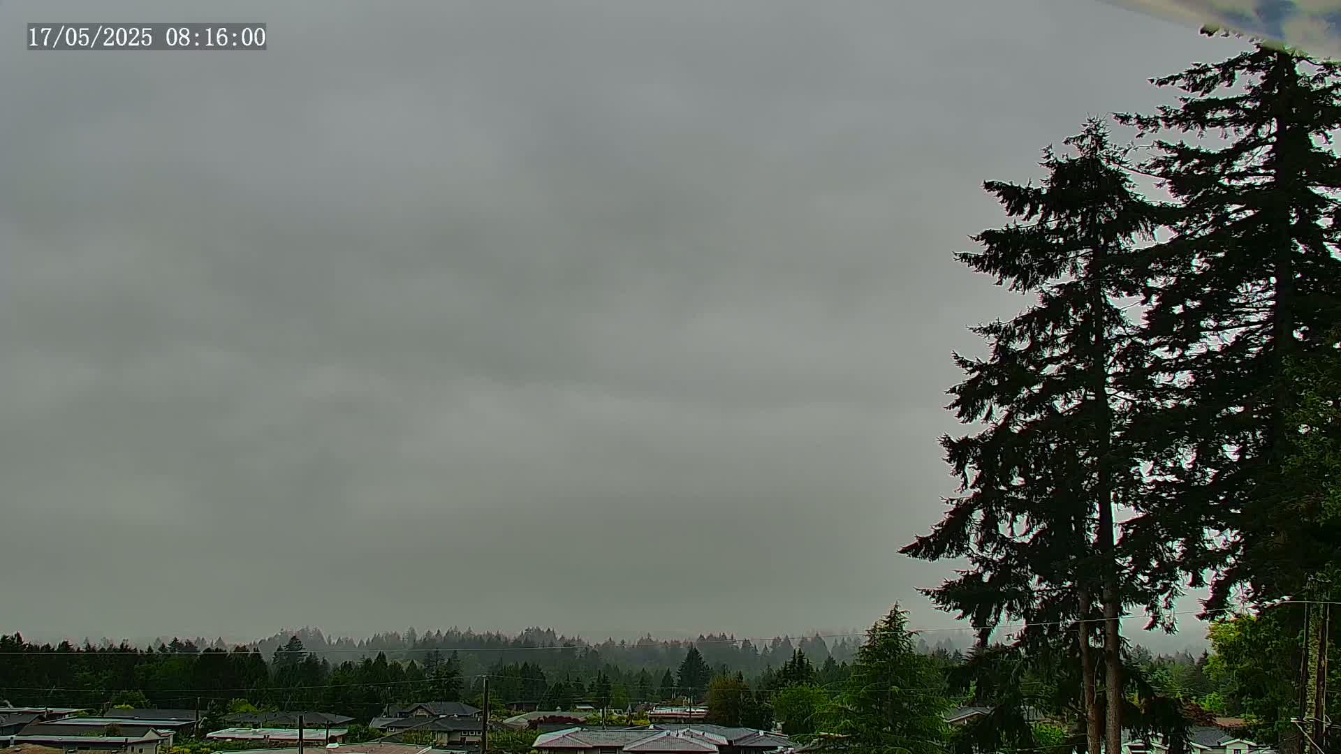 A view of houses and a forest under an overcast, gray sky.