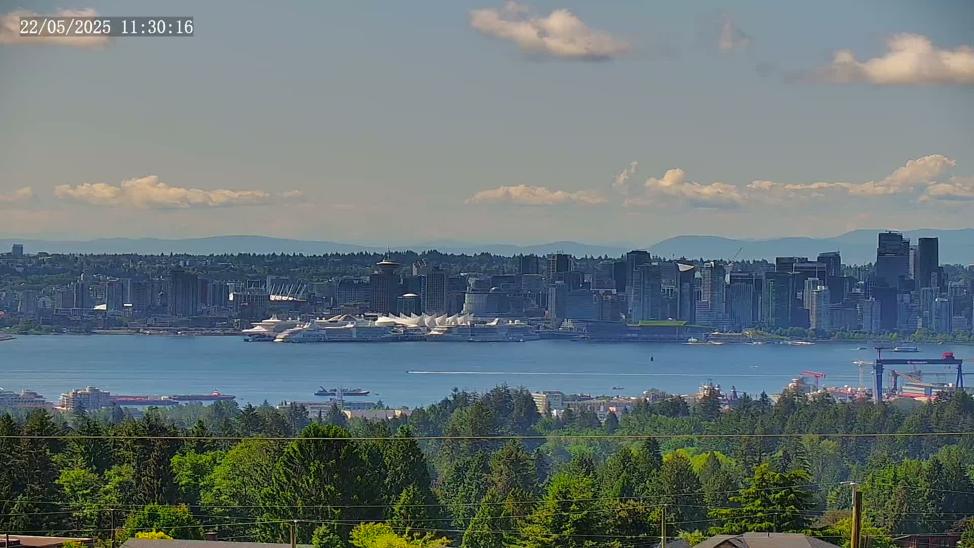 A partly cloudy day reveals a cityscape across a body of water, with cruise ships docked at a harbor, observed from a vantage point above a forested area.
