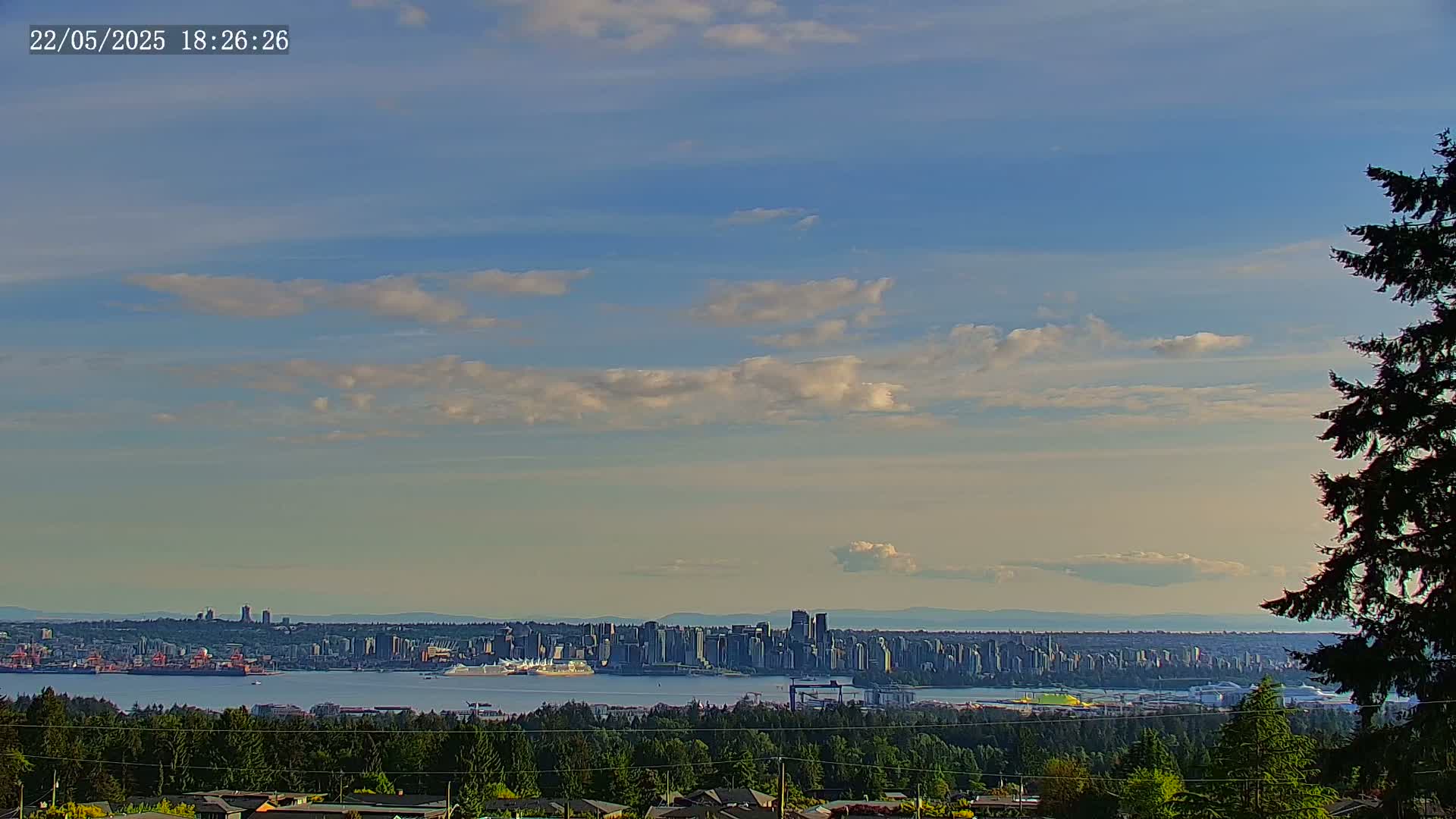 A partly cloudy sky overlooks a city skyline across a body of water, viewed from a vantage point above a line of evergreen trees.
