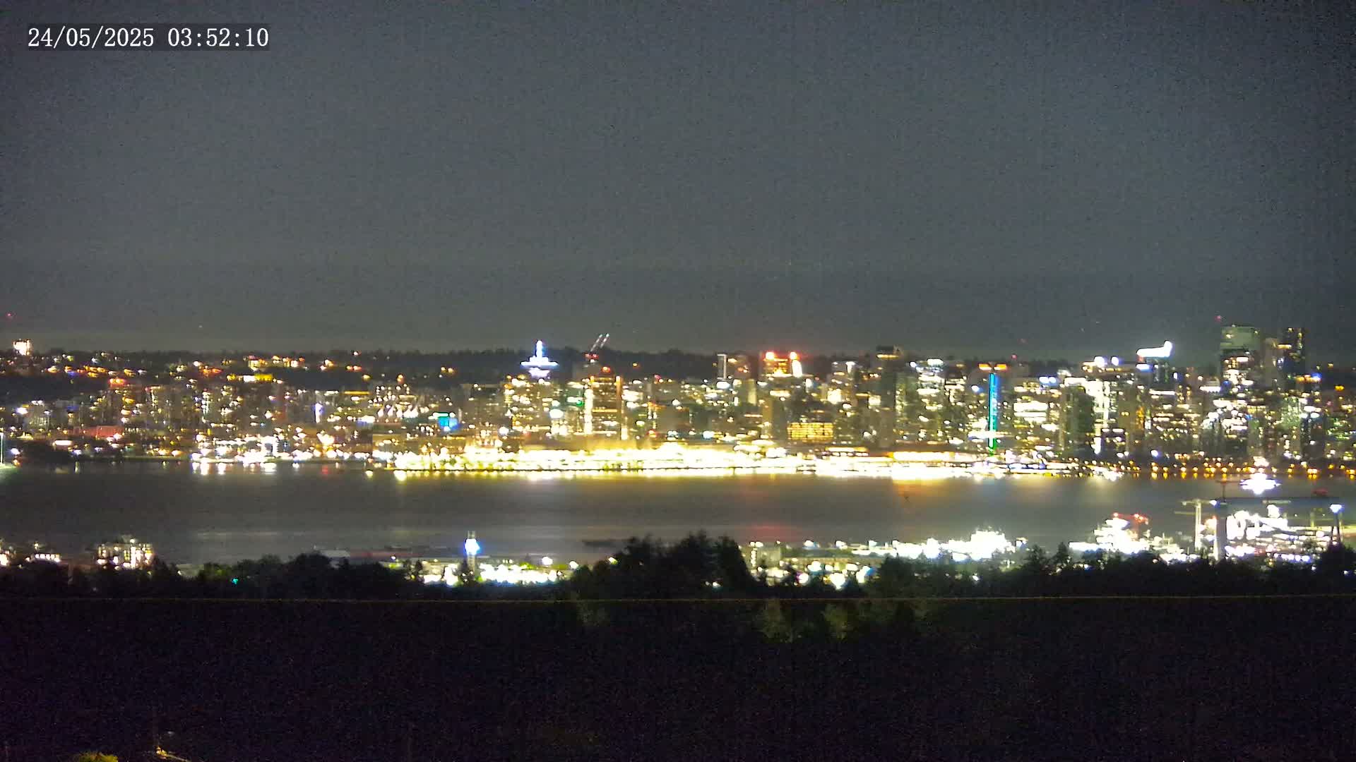 A brightly lit city skyline is visible across a dark body of water at night from a vantage point above a dark, tree-lined hill.