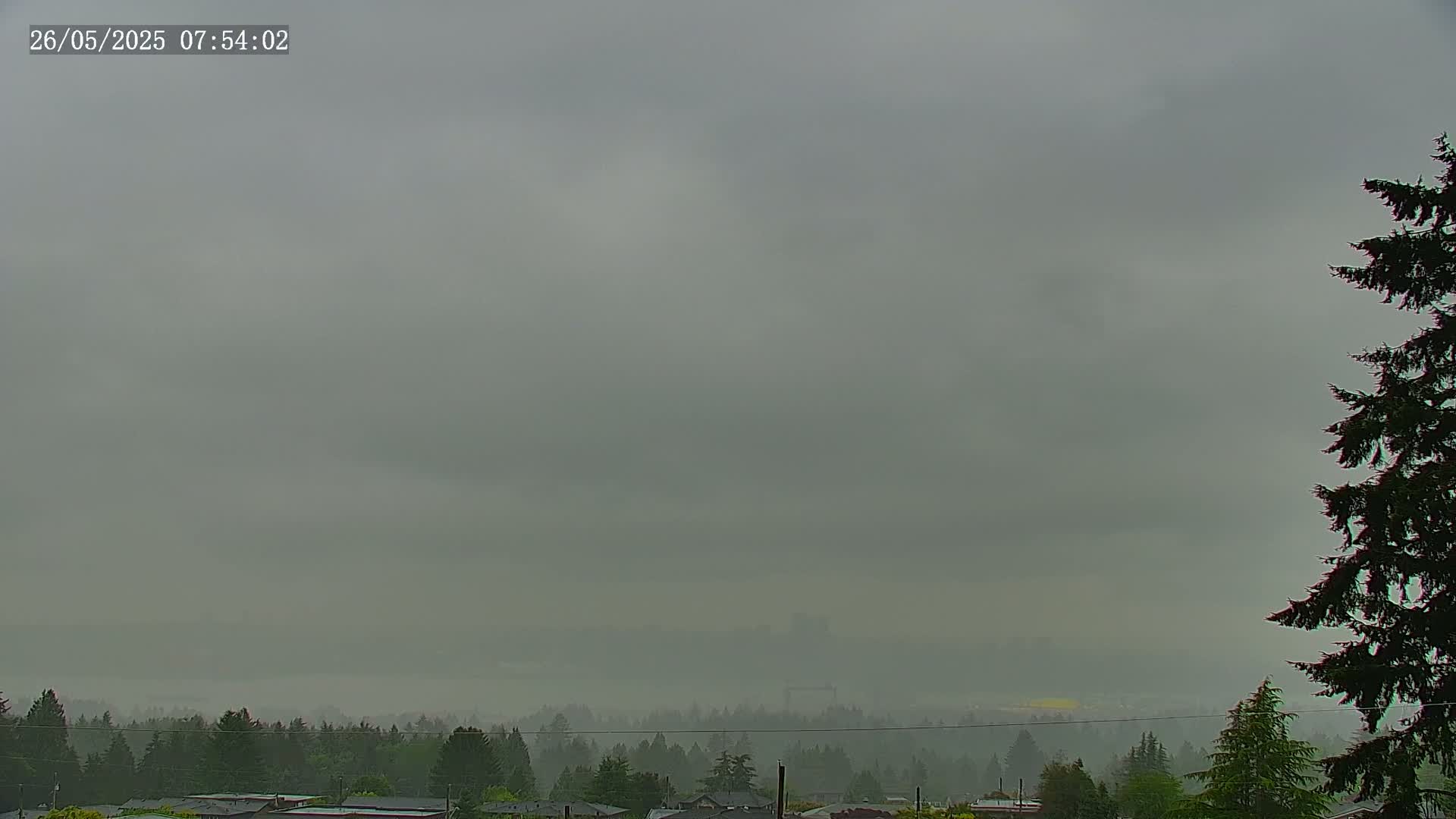A hazy, overcast sky hangs over a distant line of trees and houses, under a light rain.