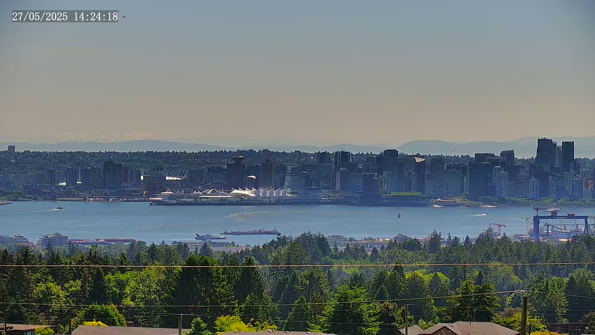 A hazy, sunny day reveals a distant cityscape across a body of water, viewed from a vantage point overlooking a lush green forest.