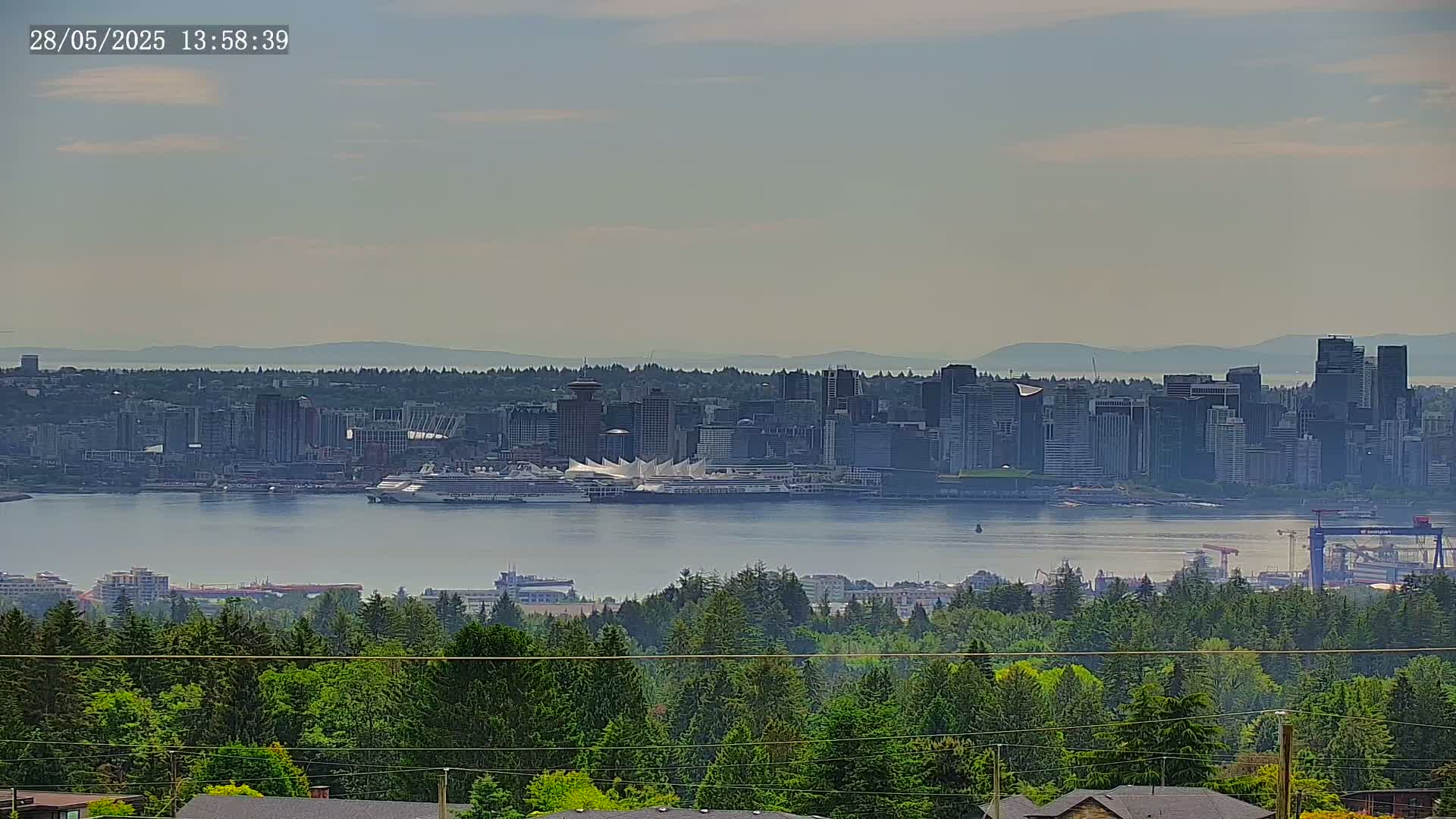 A hazy view shows a city skyline across a body of water, with a large cruise ship docked at the waterfront,  all observed from a vantage point overlooking a lush, green forest.