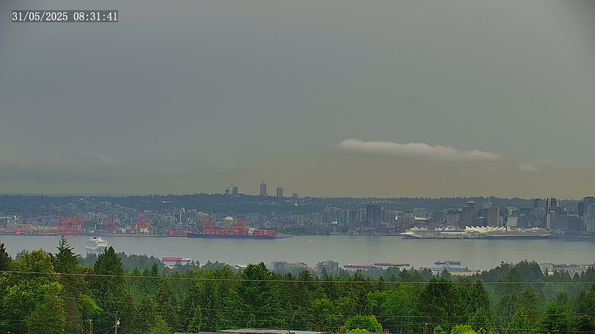 A hazy, overcast day reveals a distant cityscape with a large body of water separating it from a foreground of lush green trees.