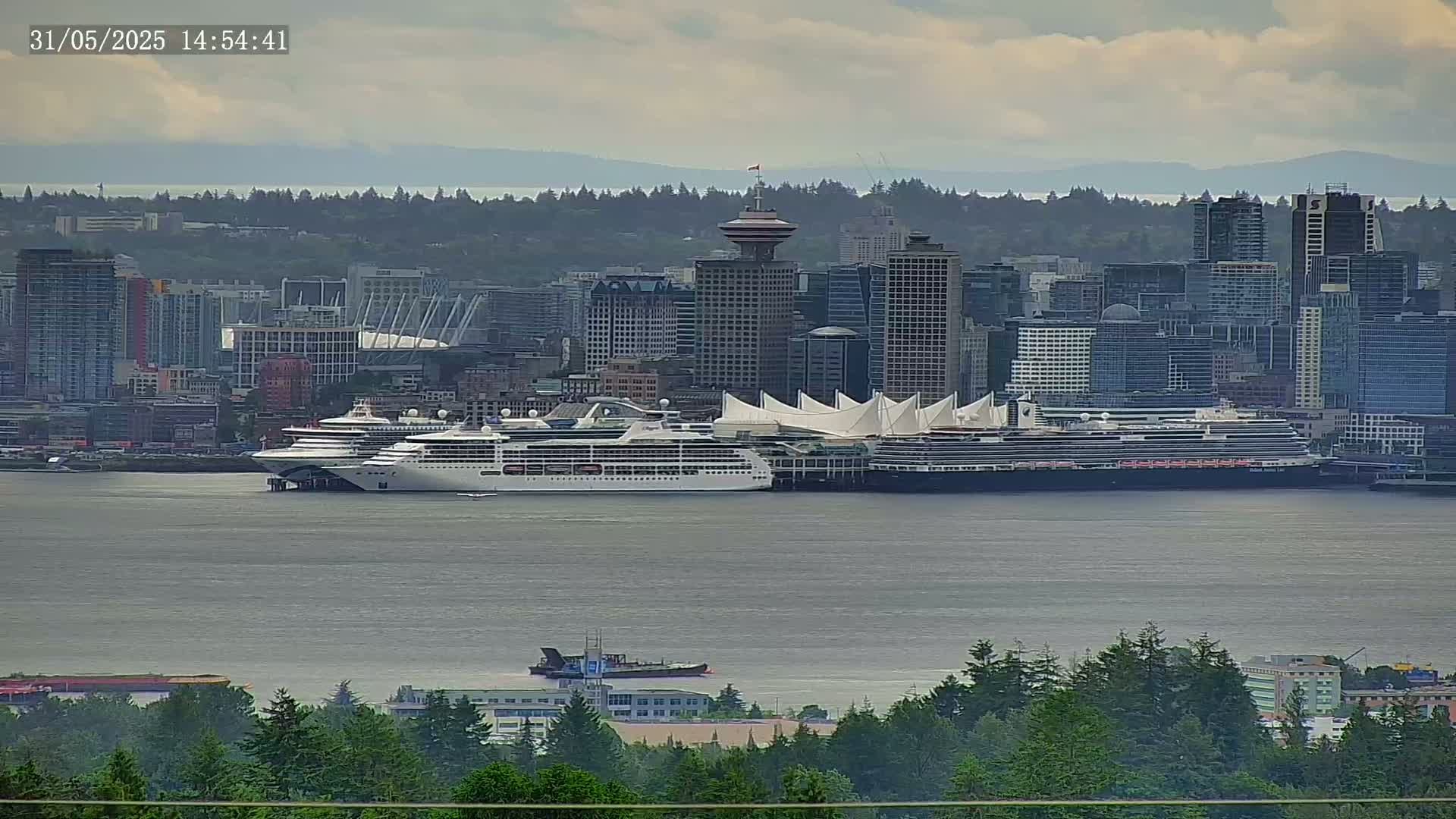 Several cruise ships are docked in a harbor next to a large city under an overcast sky.
