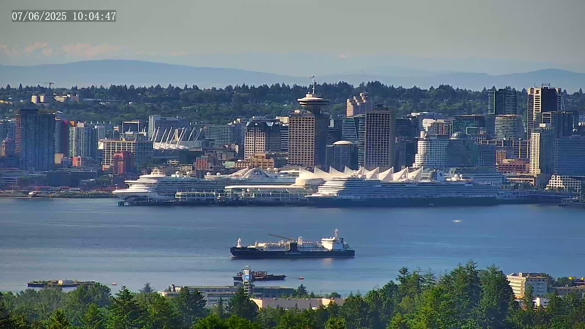 A city skyline with several cruise ships in a harbor on a clear, sunny day.