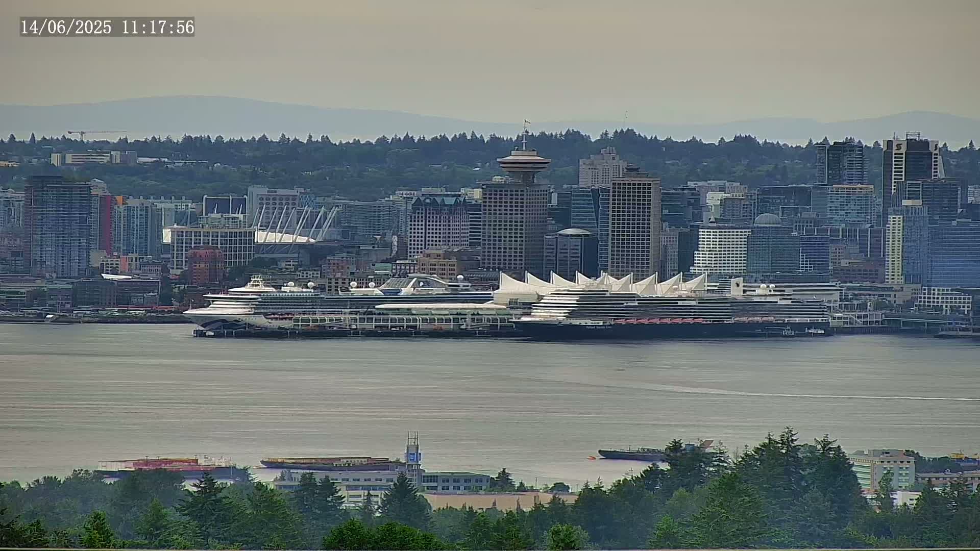 Two cruise ships are docked at a city waterfront under an overcast sky, with a line of evergreen trees in the foreground.