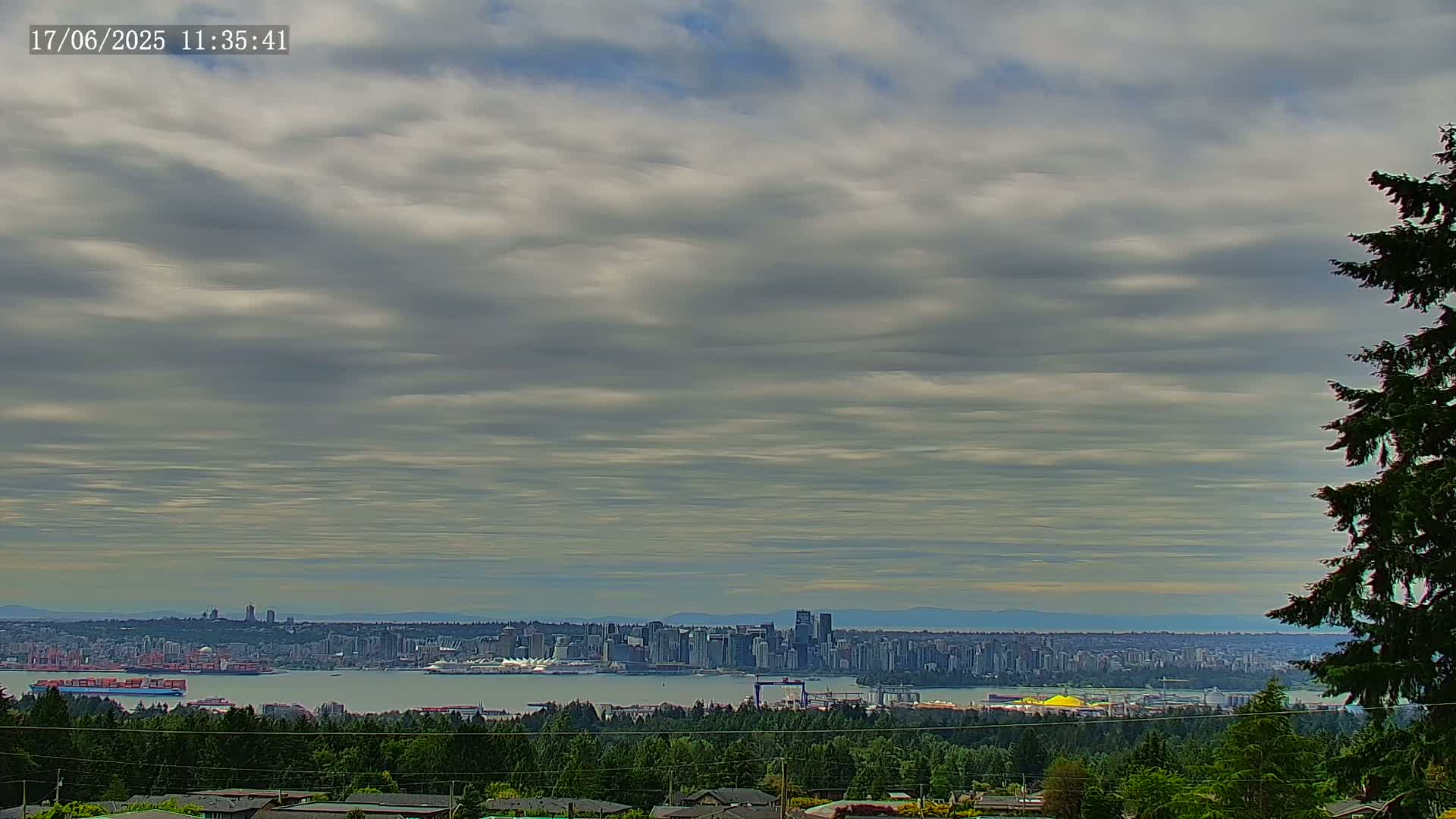 A distant cityscape sits on the water under a cloudy sky, viewed from a forested hillside.