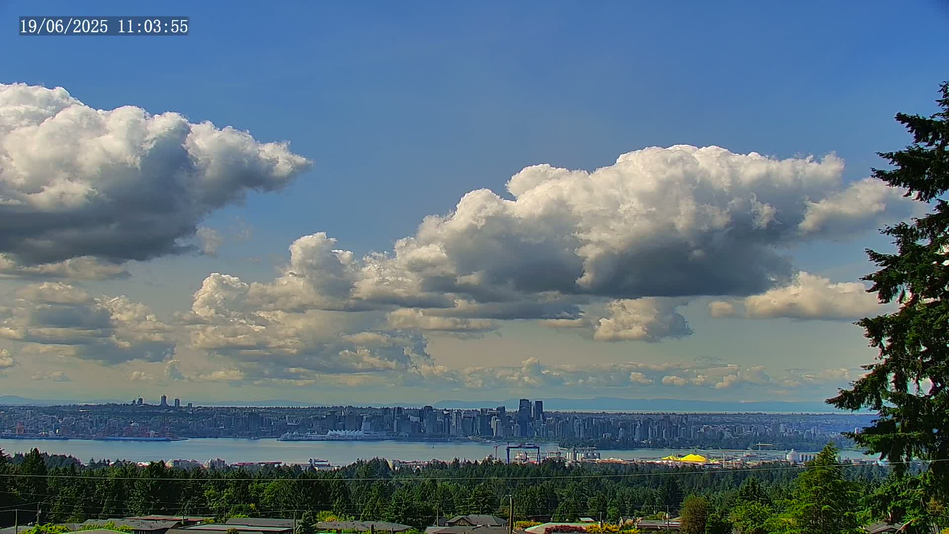 A partly cloudy sky overlooks a city skyline across a body of water, viewed from a forested hilltop.