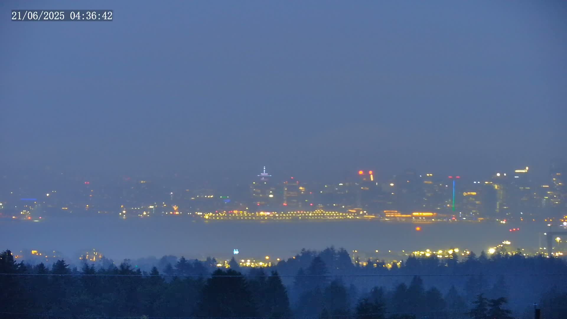 A hazy, nighttime view of a distant city skyline illuminated by numerous lights, partially obscured by fog over a dark forest.