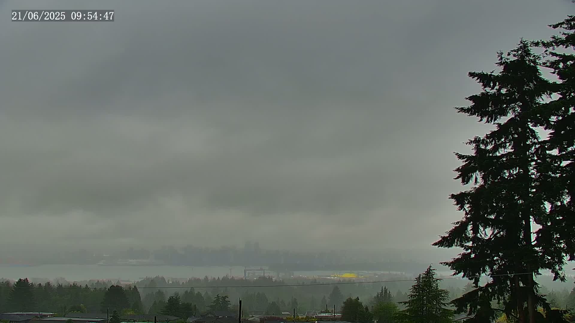 A hazy, overcast sky hangs over a distant body of water and a line of trees, with a tall evergreen tree dominating the right side of the frame.